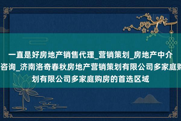 一直是好房地产销售代理_营销策划_房地产中介服务_经济贸易咨询_济南洛奇春秋房地产营销策划有限公司多家庭购房的首选区域
