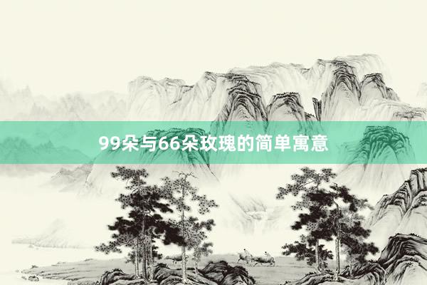 99朵与66朵玫瑰的简单寓意