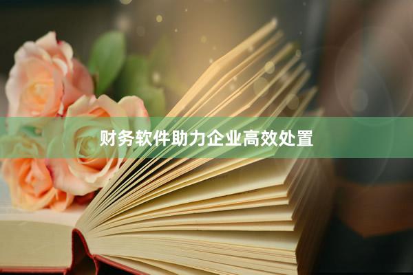 财务软件助力企业高效处置